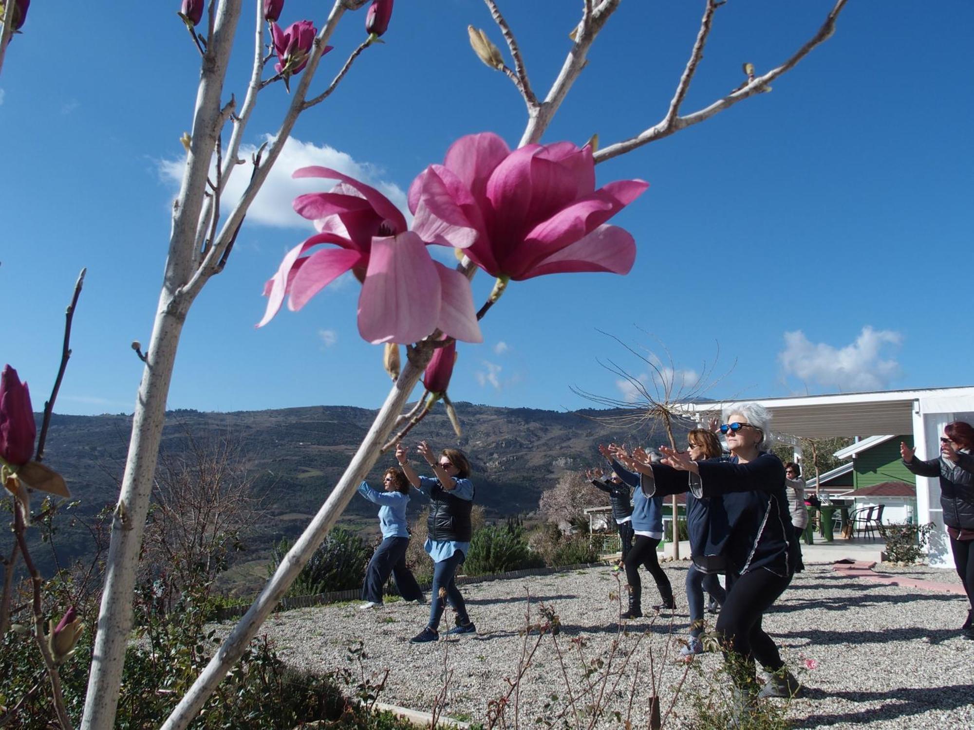 Ktima Noosfera Wellness & Retreat Center Hotel Karia  Bagian luar foto